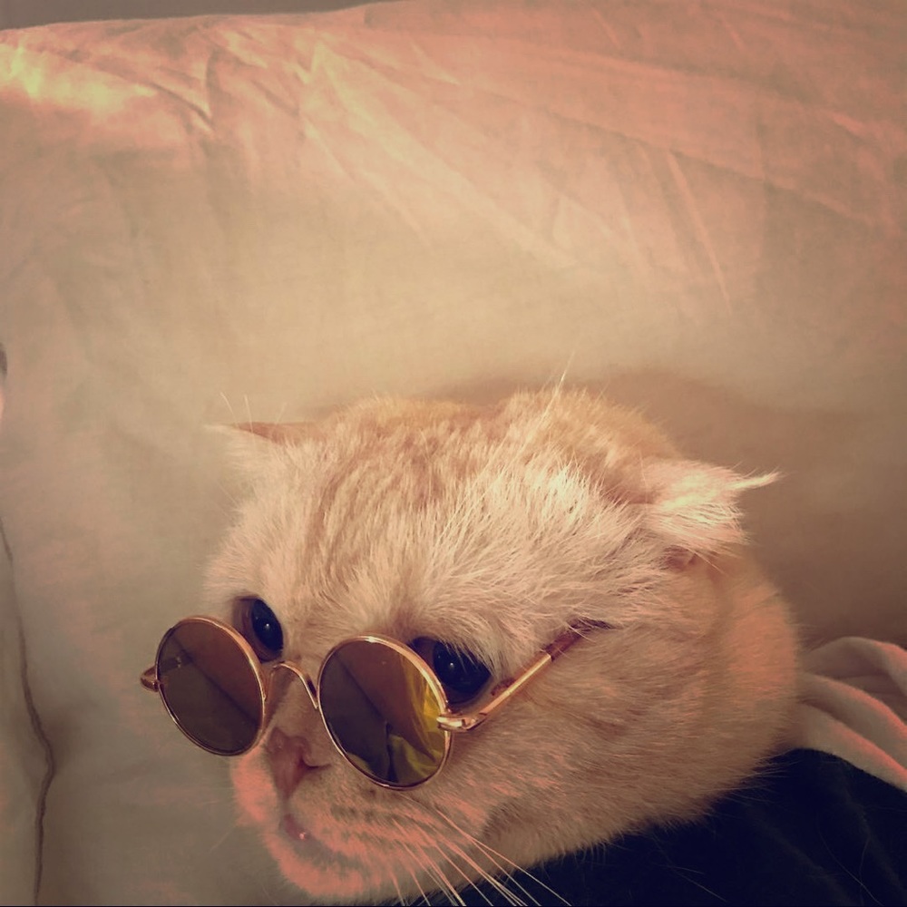 🩷 welcome + shop info 🩷